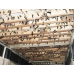 dia-phuong-tang-cuong-chong-cum-a-h5n1-tren-dan-chim-yen