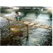 nuoi-tom-sieu-tham-canh-trong-nha-kinh