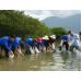 Thả Hơn 1 Triệu Con Giống Thủy Sản Xuống Đầm Nha Phu Ở Khánh Hòa