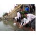 Tiên Yên (Quảng Ninh) Thả 25.000 Con Cá Giống Về Môi Trường Tự Nhiên