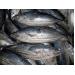 “Sốc” vì giá cá ngừ lao dốc 