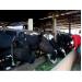 Lâm Hà (Lâm Đồng) hỗ trợ người chăn nuôi bò sữa