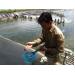 Lạm dụng kháng sinh trong nuôi trồng thủy sản