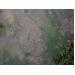 su-dung-thuoc-hoa-chat-nuoi-trong-thuy-san