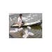 ben-tre-han-che-tha-giong-tom-bien-nuoi-do-anh-huong-thoi-tiet-va-dich-benh