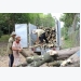 Thương nhân Trung Quốc tranh mua gỗ cao su, giá tăng “chóng mặt”