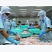 FDA warns Vietnam largest processor over seafood poisoning