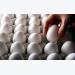 Egg farmers, producers cry foul over new import quotas