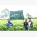 Da Nang set to build new High-tech farms