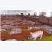 Cheap meat imports affecting domestic animal breeders