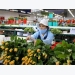 Vietnam’s Da Lat targets breakthrough in flower export