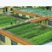 An Son well taps advantages for urban agricultural development