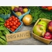 Organic produce exporters explore global opportunities