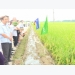 Hanoi boosts agricultural promotion