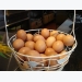 Bảo quản trứng gà tươi bằng màng bọc chitosan