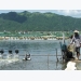 Solutions sought for sustainable fishery in Phu Yen