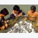 Tánh Linh (Bình Thuận): Ổn định với cá thát lát cườm theo chuỗi
