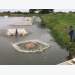 Ongoing production issues in shrimp farming, part 1