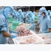Vietnam fourth globally in seafood exports