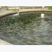 Water temperature in aquaculture