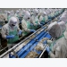 Vietnam targets 10 billion USD from seafood exports in 2019