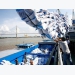 Vietnam eyes opportunities for rice exports to Senegal