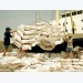 Viet Nam enhances rice, pork price stabilisation