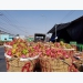 Dragon fruit prices soar