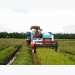 Việt Nam will promote agricultural mechanisation: PM