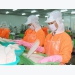 Vietnam’s pangasius export value slides for ninth consecutive month