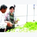 Mekong Delta agriculture: Adding value by applying sci-tech