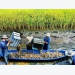 Soc Trang farmers earn high from shrimp-rice farming