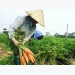 100,000 tons of farm produce stuck in Hai Duong Covid-19 hotspot