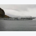 Salmon farmers mothball antiquated seal deterrent systems