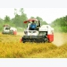 Digital transformation to make Vietnamese agricultural products reach further