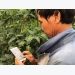 Digital transformation – future of Vietnam’s agriculture