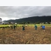 Phù Cát (Bình Định) khẩn trương hỗ trợ nhân dân thu hoạch lúa đông xuân bị đổ ngã