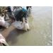 Dành 345 Triệu Đồng Mua Cá Giống Thả Bổ Sung Nguồn Lợi Thủy Sản Ở Dak Lak