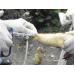 tiem-phong-vaccine-mien-phi-dan-gia-suc-bien-gioi-o-an-giang
