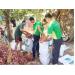 Đạm Phú Mỹ mua hành tím giúp nông dân