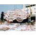 Đưa gạo Việt Nam trở thành thương hiệu hàng đầu thế giới
