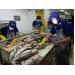 Thượng viện Mỹ bật đèn xanh cho cá tra Việt Nam