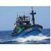 Trung Quốc cấm đánh bắt cá ở Biển Đông tàu cá Việt Nam vẫn ra khơi