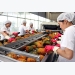 Vietnam fruit exports have to meet high standards in foreign markets
