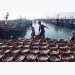 New project targets competitive seafood sector