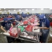 Agro-forestry-aquatic product exports hit 10.8 billion USD