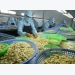 Binh Phuoc eyes more cashew products reaching global markets