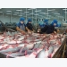 Việt Nam, Norway confer on aquaculture