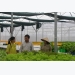 rau-sach-thanh-nam-tung-buoc-tao-dung-duoc-thuong-hieu