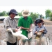 Chăn nuôi vịt trong ruộng lúa theo hướng an toàn sinh học và thân thiện với môi trường
